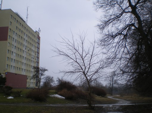 Żołnierska róg Obiegowej