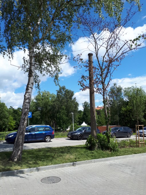 Słup dawnej trakcji trolejbusowej w pobliżu widocznej w tle byłej zajezdni tego środka transportu, między jezdniami nowej ulicy, którą proponujemy nazwać Trolejbusową