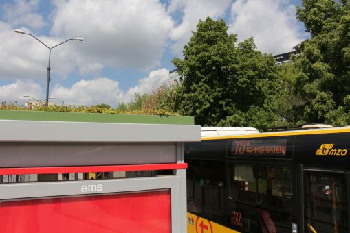 Zielony przystanek z rozchodnikiem wysianym na dachu wiaty na pętli Metro Wilanowska w Warszawie