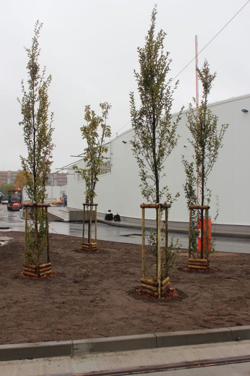 Budowa nowych hal zajezdni tramwajowej MPK Olsztyn (22 października 2023)